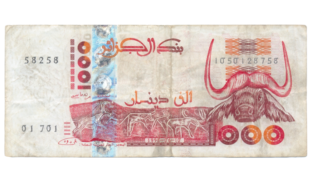 Billete Algeria 1000 Dinars 1998 Ñu Antílope - Numisfila